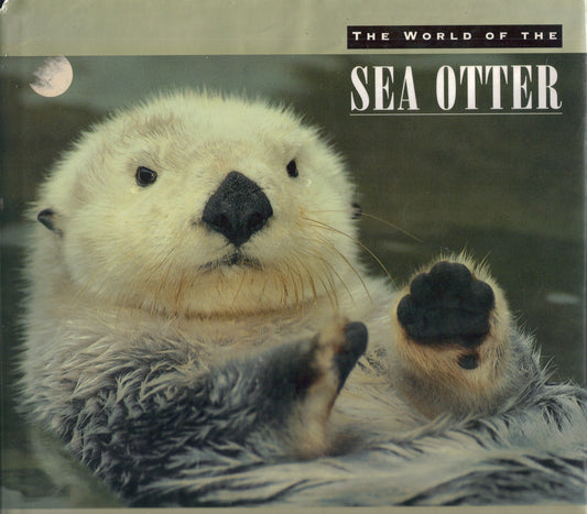 The World of the Sea Otter