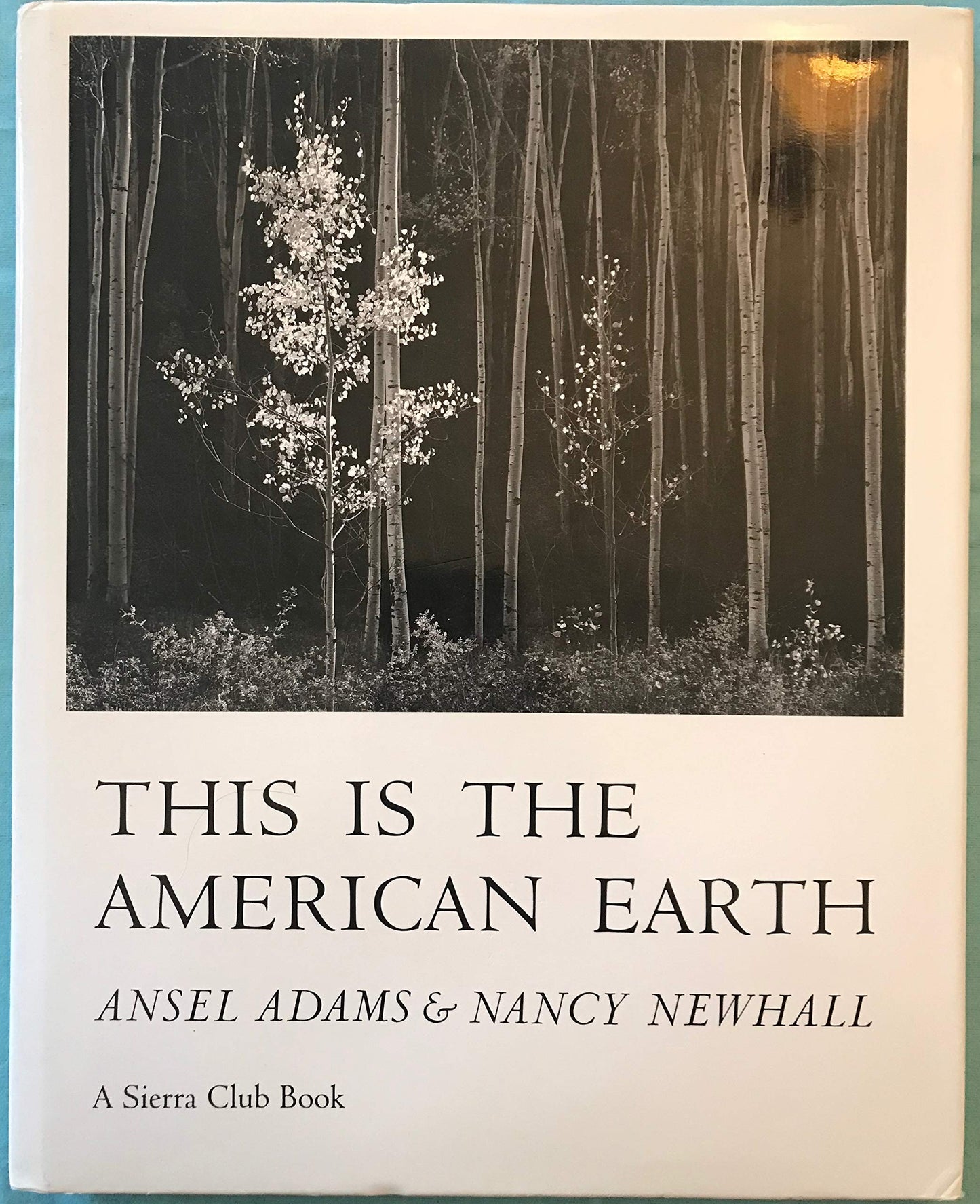 This is the American Earth - 461