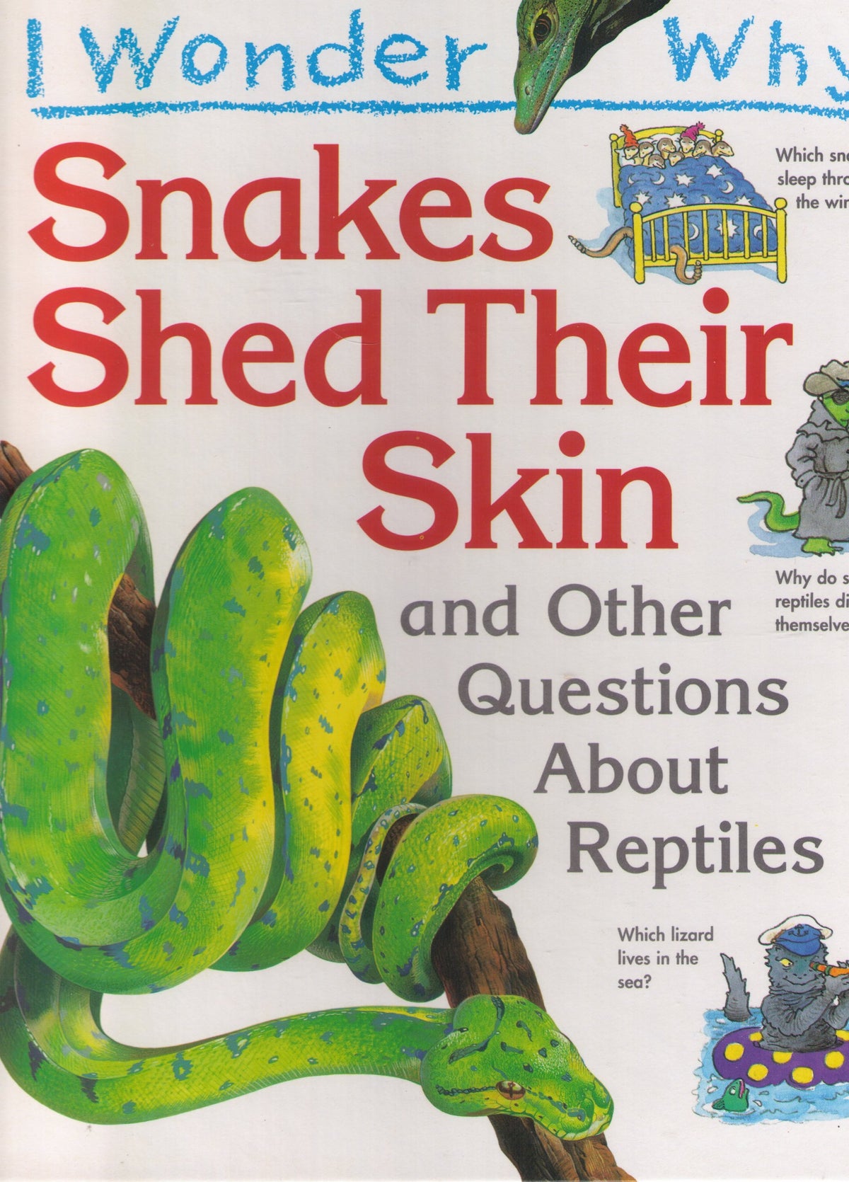 I Wonder Why Snakes Shed Thier Skin and Other Questions About Reptiles