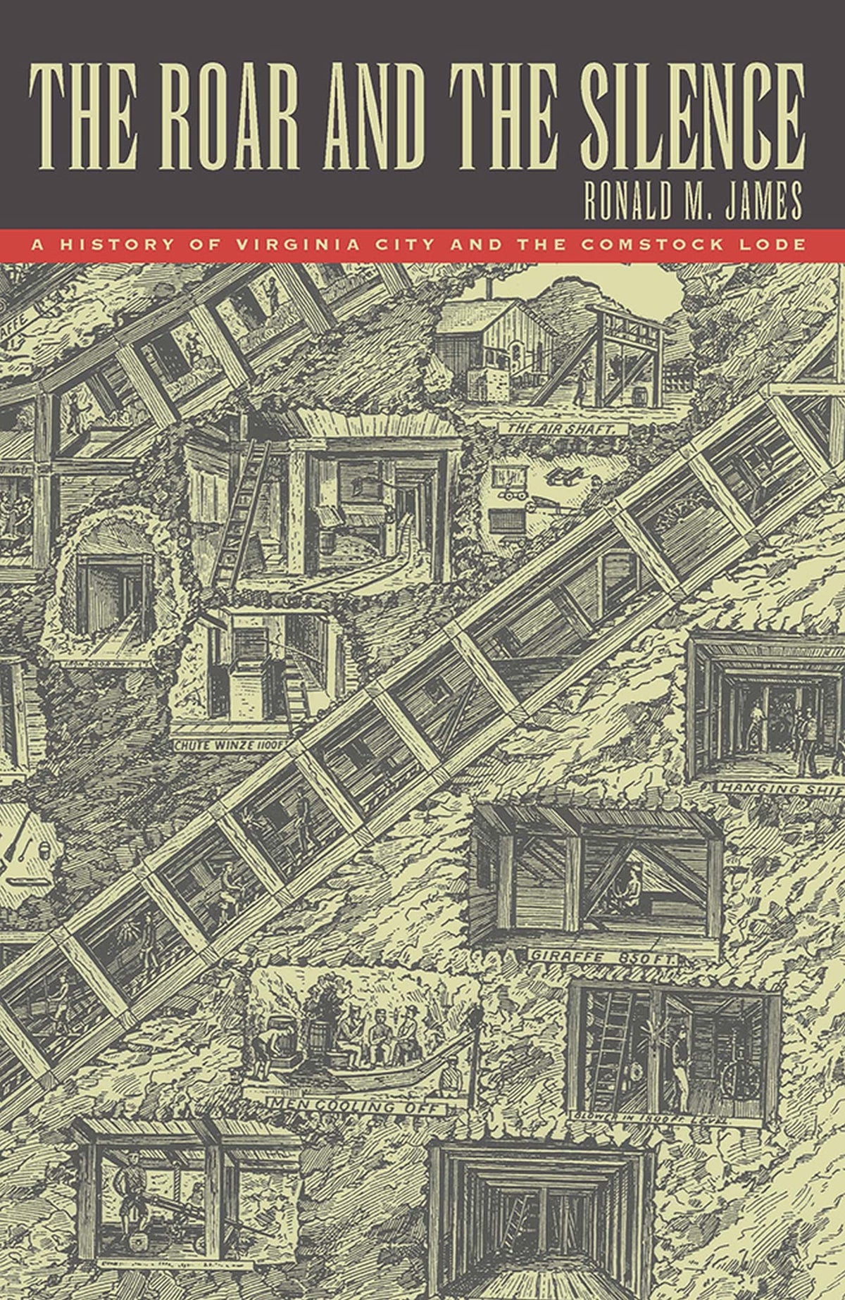 The Roar and the Silence: A History of Virginia City and the Comstock Lode (Shepperson Series in Nevada History)