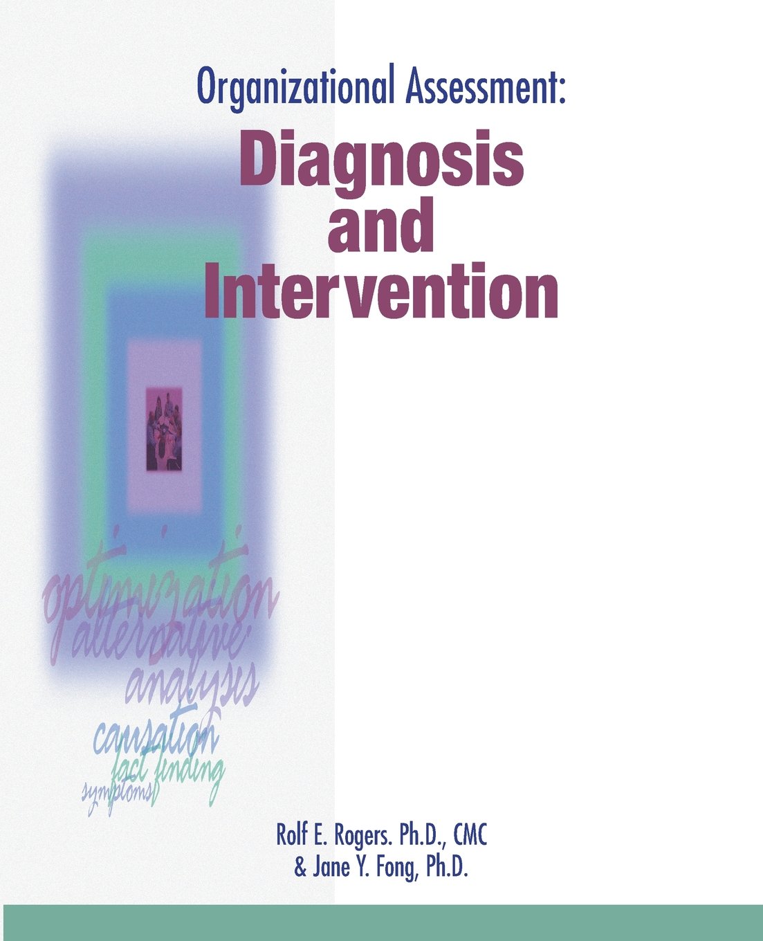 Organizational Assessment: Diagnosis and Intervention