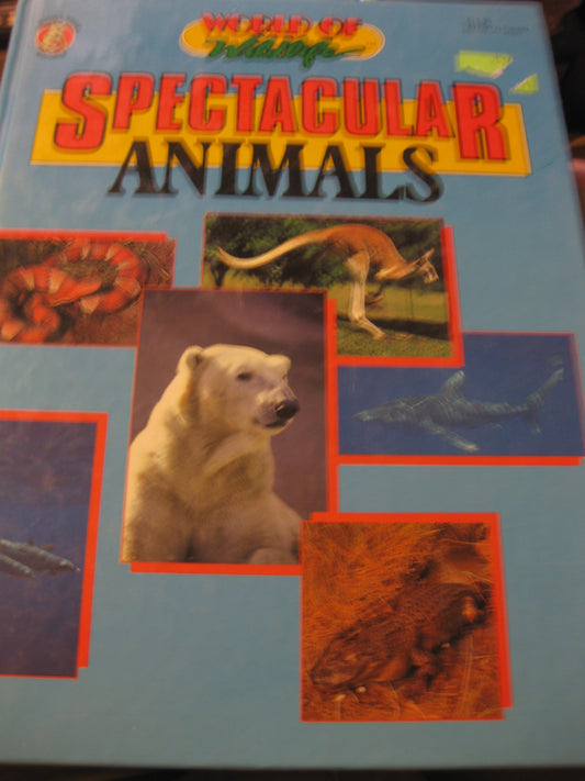 Spectacular Animals and Fascinating Animals