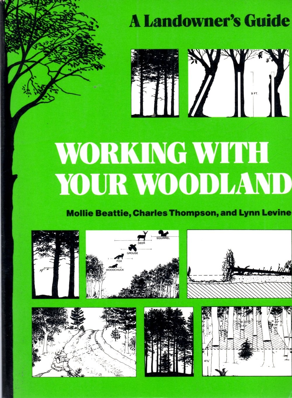 Working With Your Woodland: A Landowner's Guide
