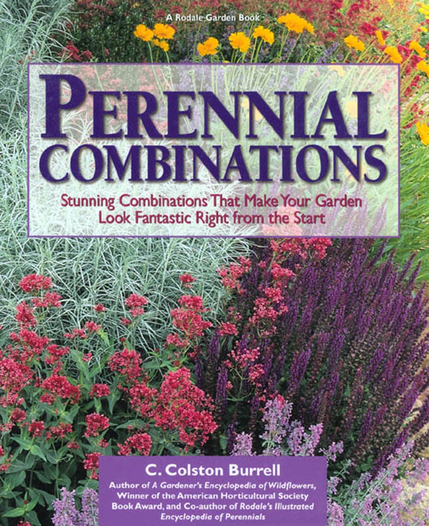 Perennial Combinations: Stunning Combinations That Make Your Garden Look Fantastic Right from the Start - 3483