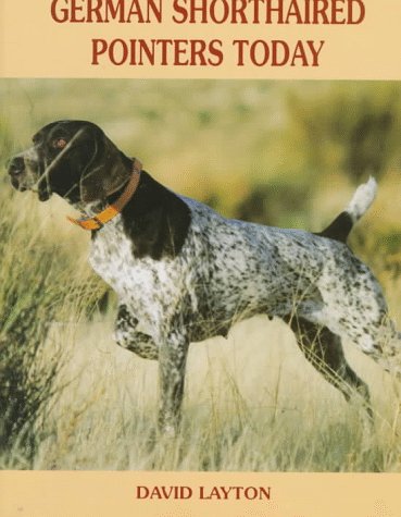 German Shorthaired Pointers Today