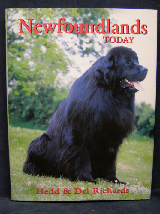 Newfoundlands Today