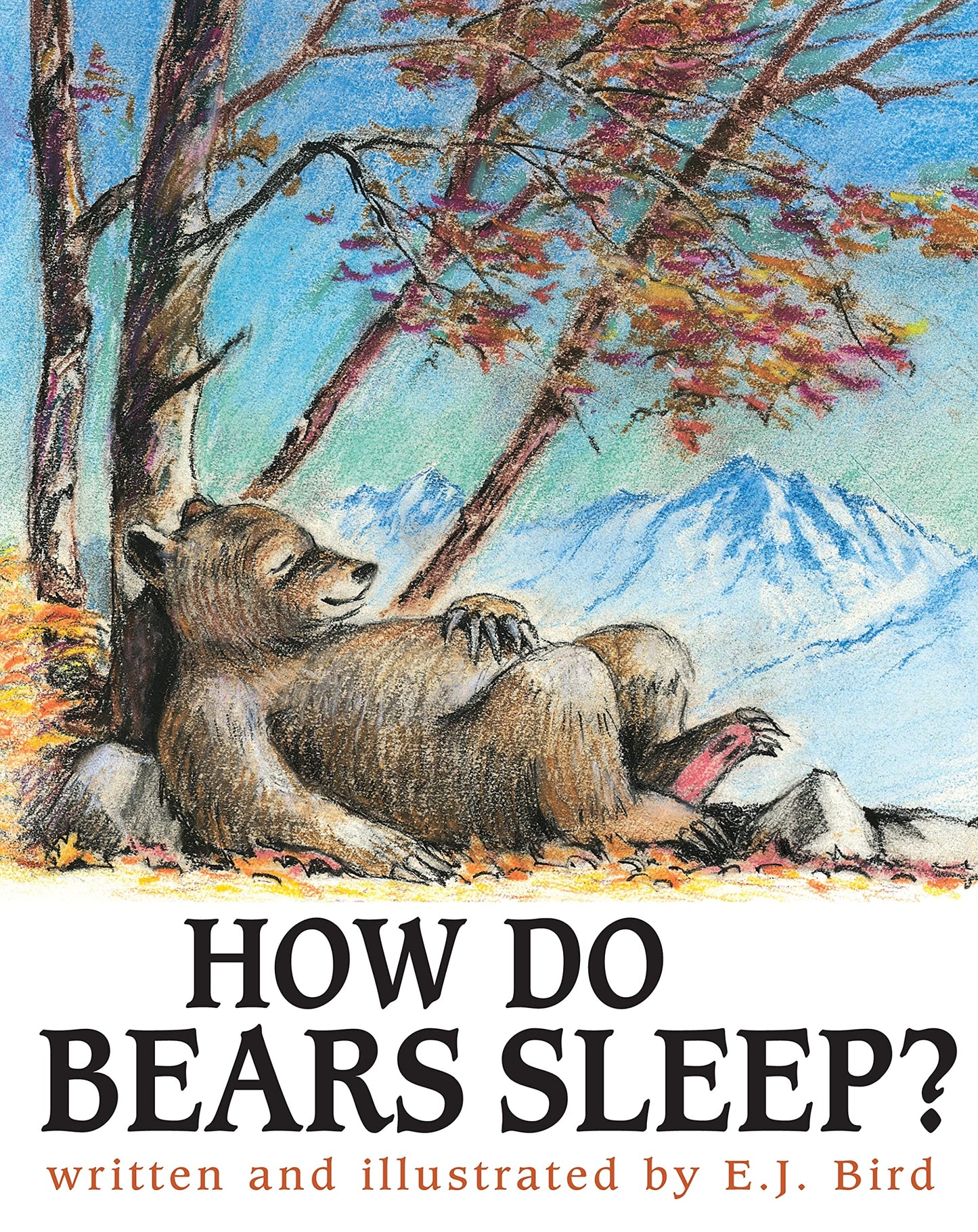 How Do Bears Sleep? (Carolrhoda Picture Books)