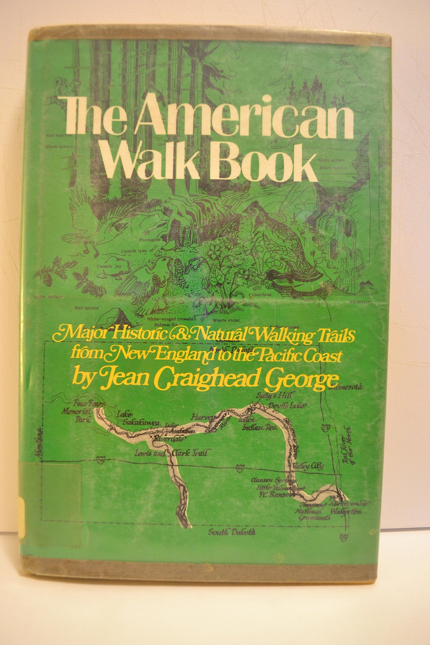 American Walk Book