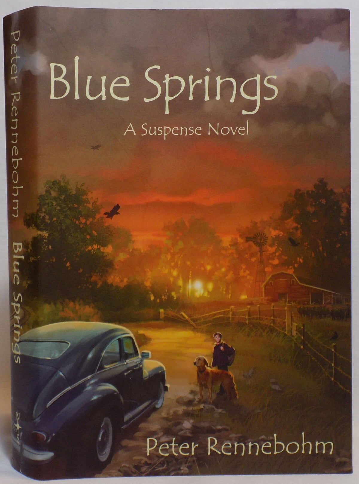 Blue Springs: A Suspense Novel