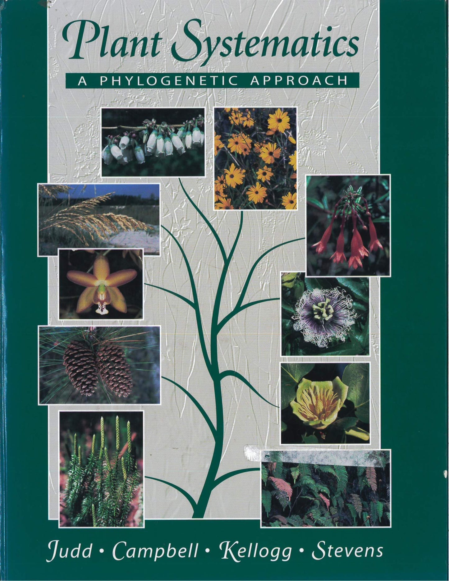 Plant Systematics: A Phylogenic Approach