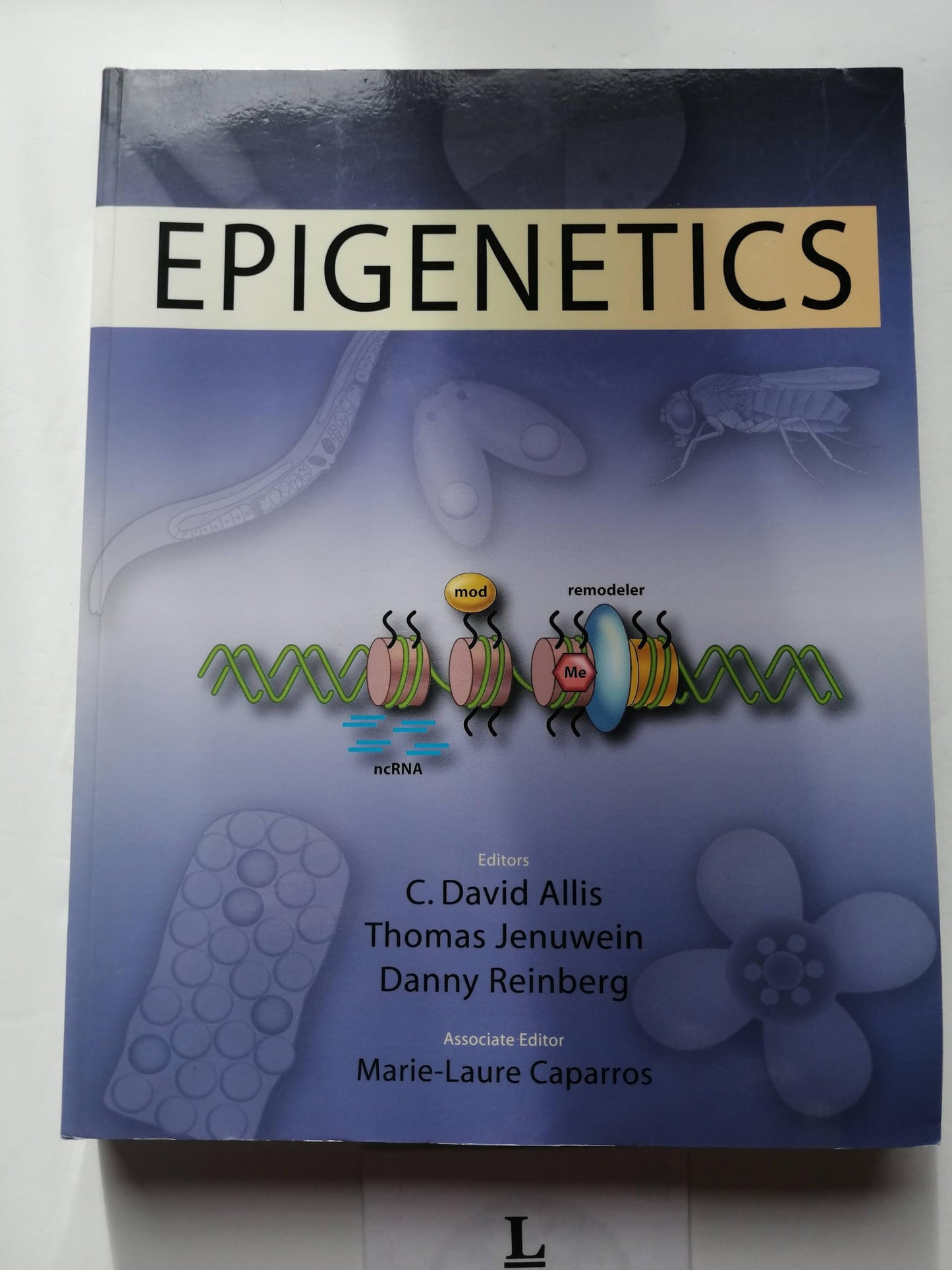 Epigenetics - 6553