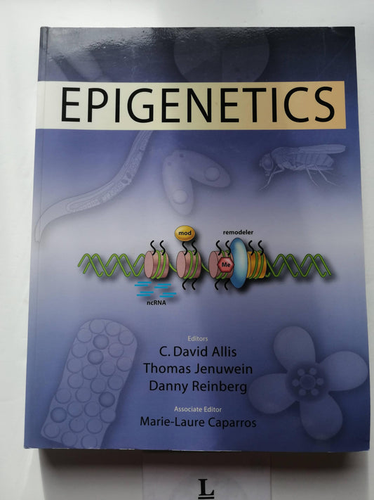 Epigenetics - 6553