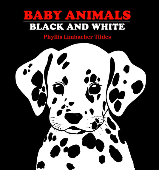 Baby Animals Black and White - 4196