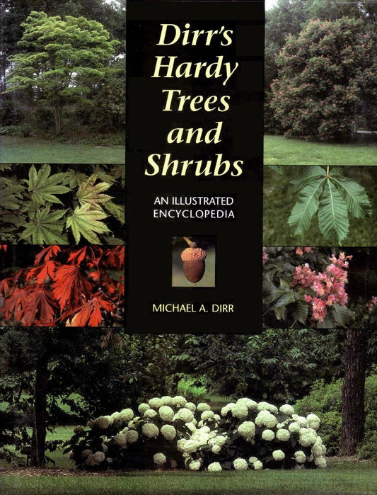 Dirr's Hardy Trees and Shrubs: An Illustrated Encyclopedia - 4173