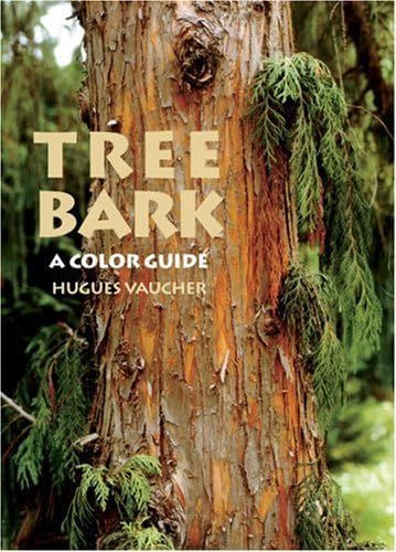 Tree Bark: A Color Guide - 1177