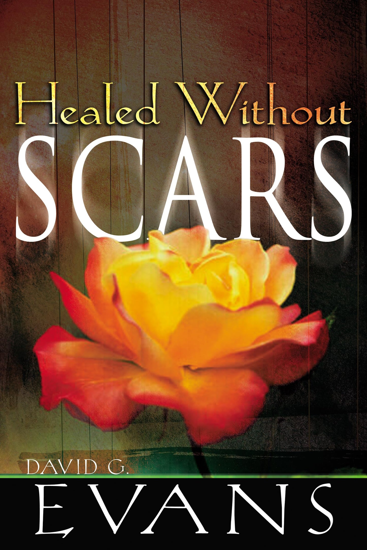 Healed Without Scars - 4888