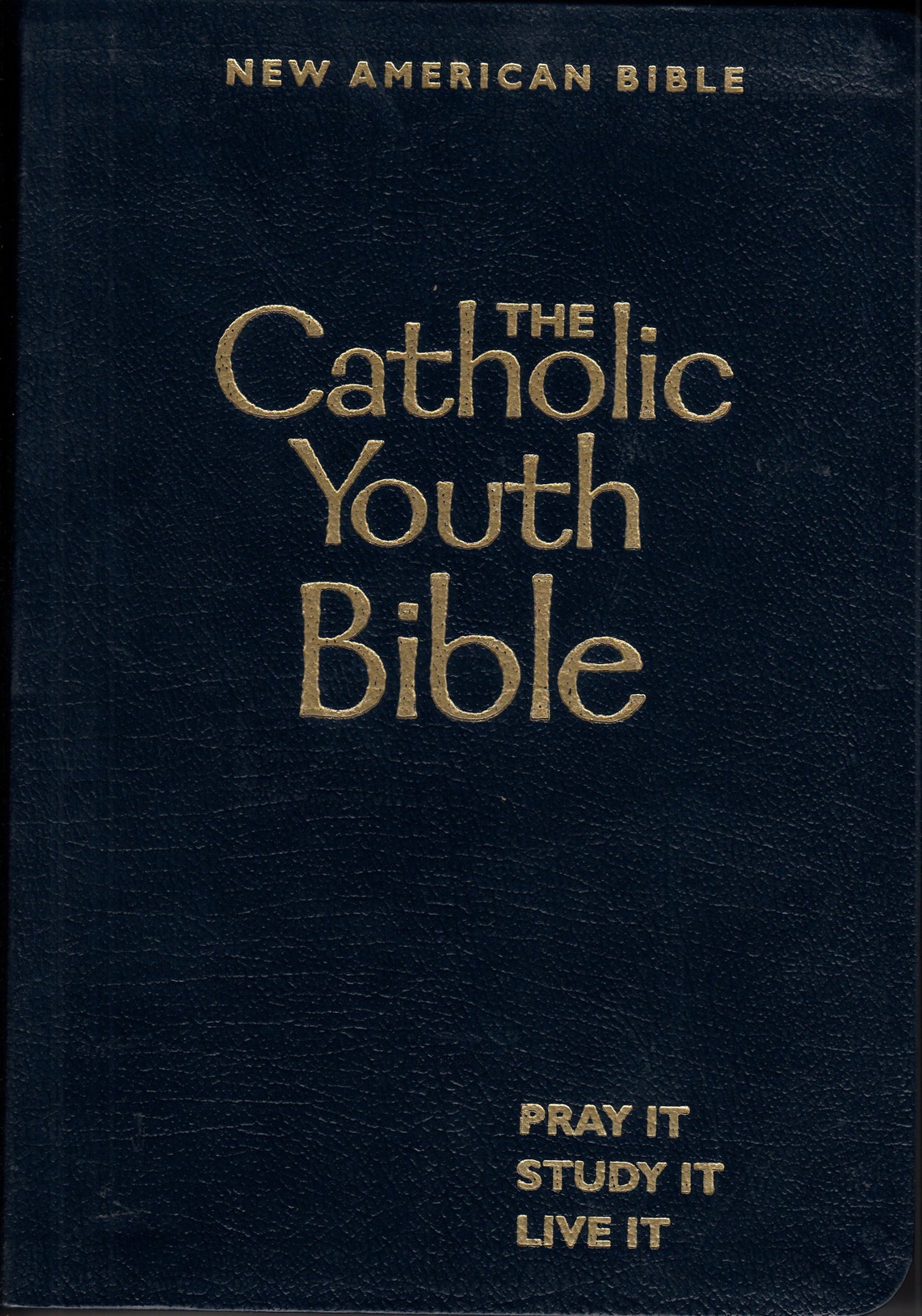 The Catholic Youth Bible: New American Bible Translation Old and New Testaments, including Apocrypha