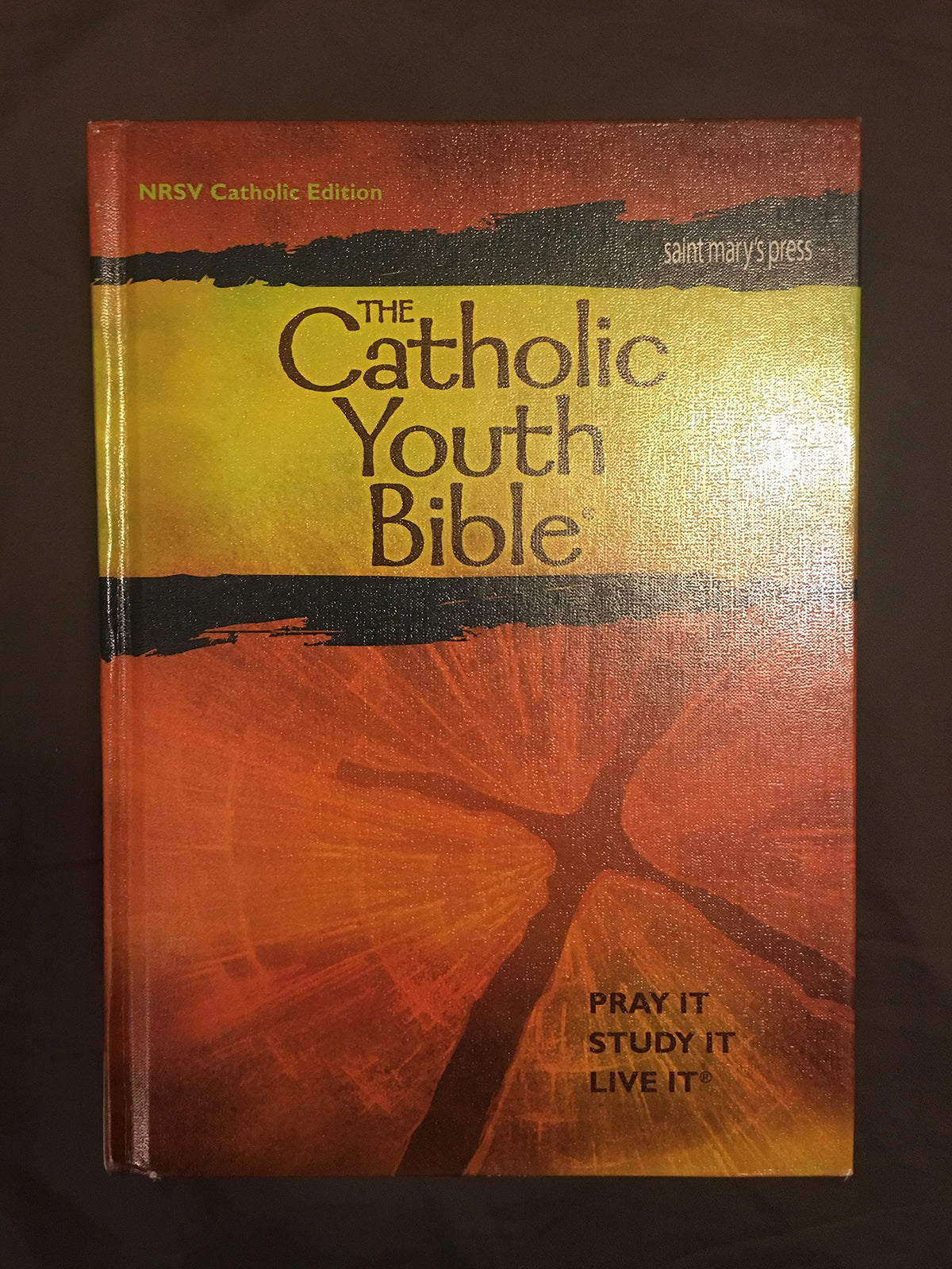 The Catholic Youth Bible (Catholic Edition)