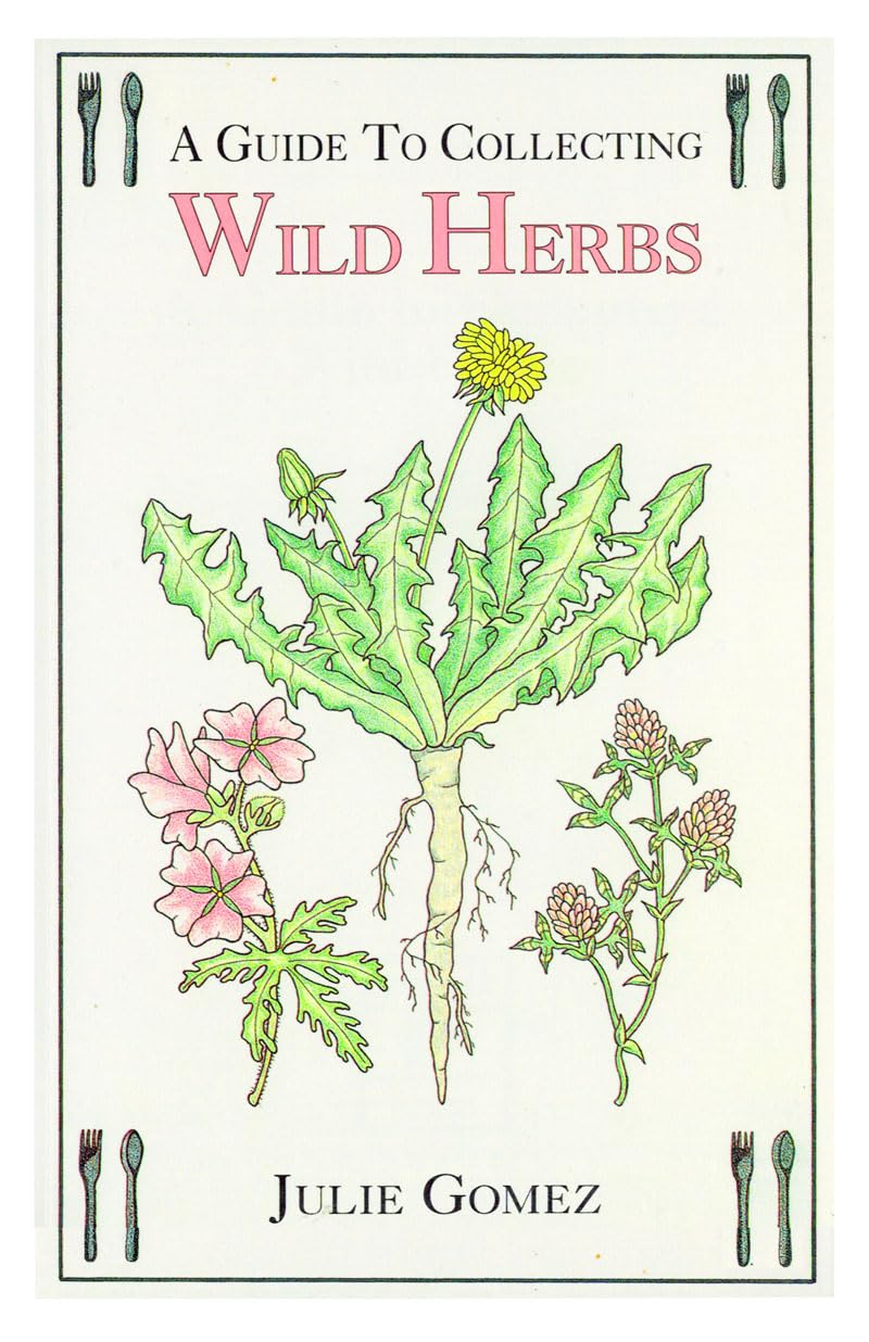 A Guide to Collecting Wild Herbs