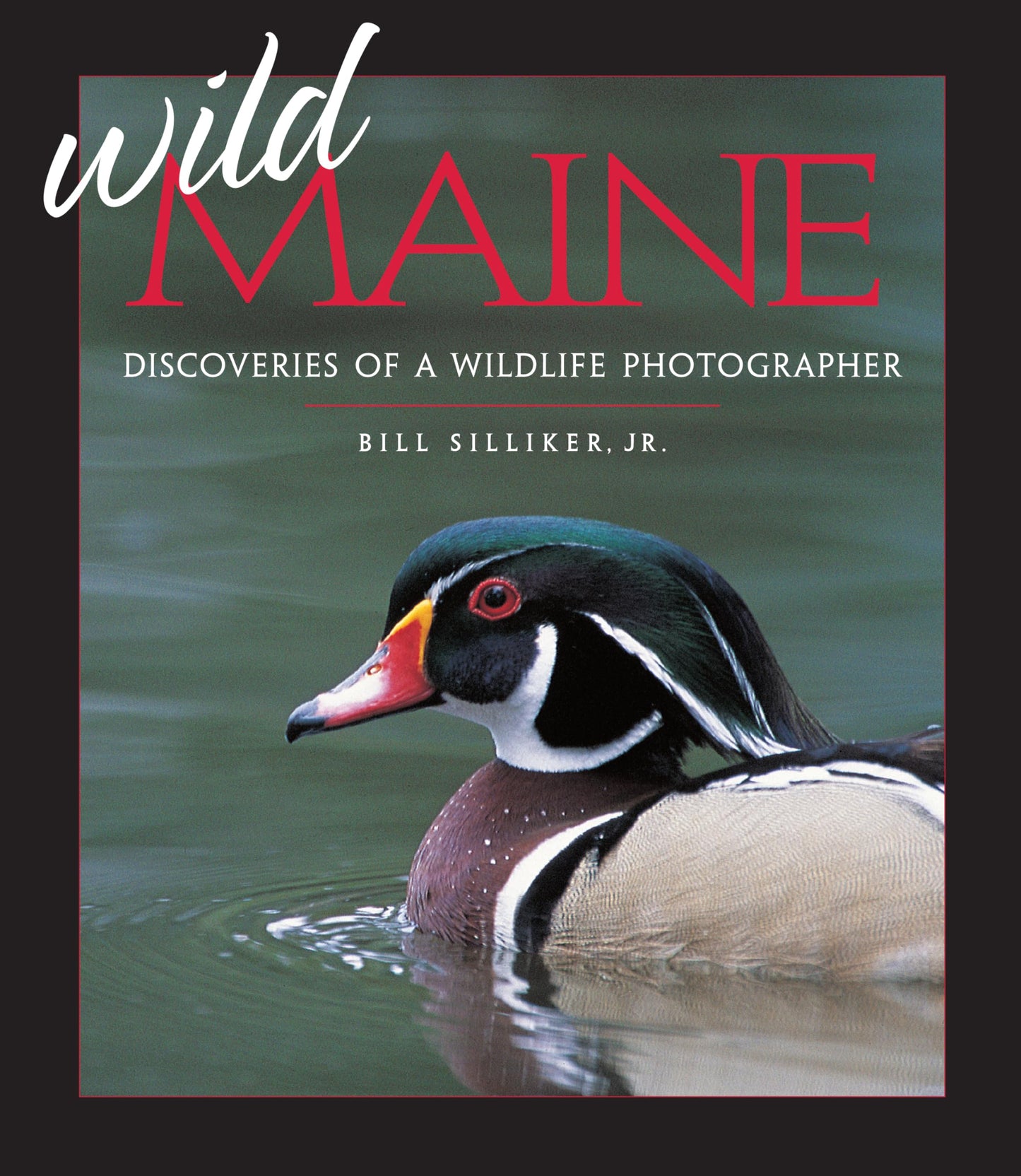 Wild Maine: Discoveries of a Wildlife Photographer - 4046