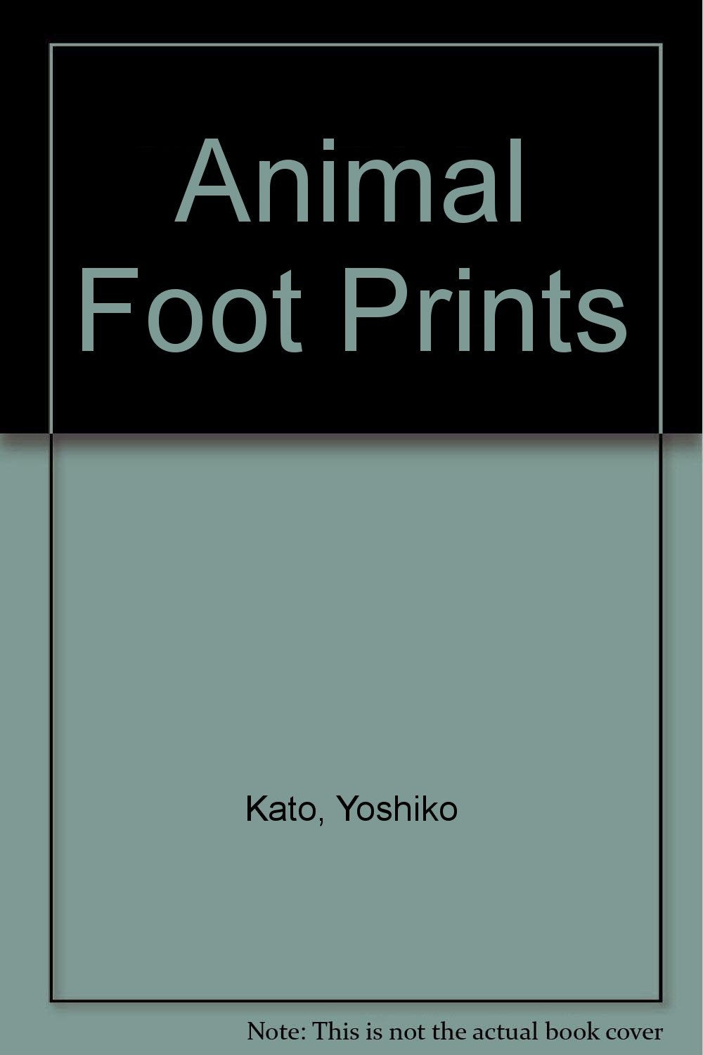 Animal Foot Prints