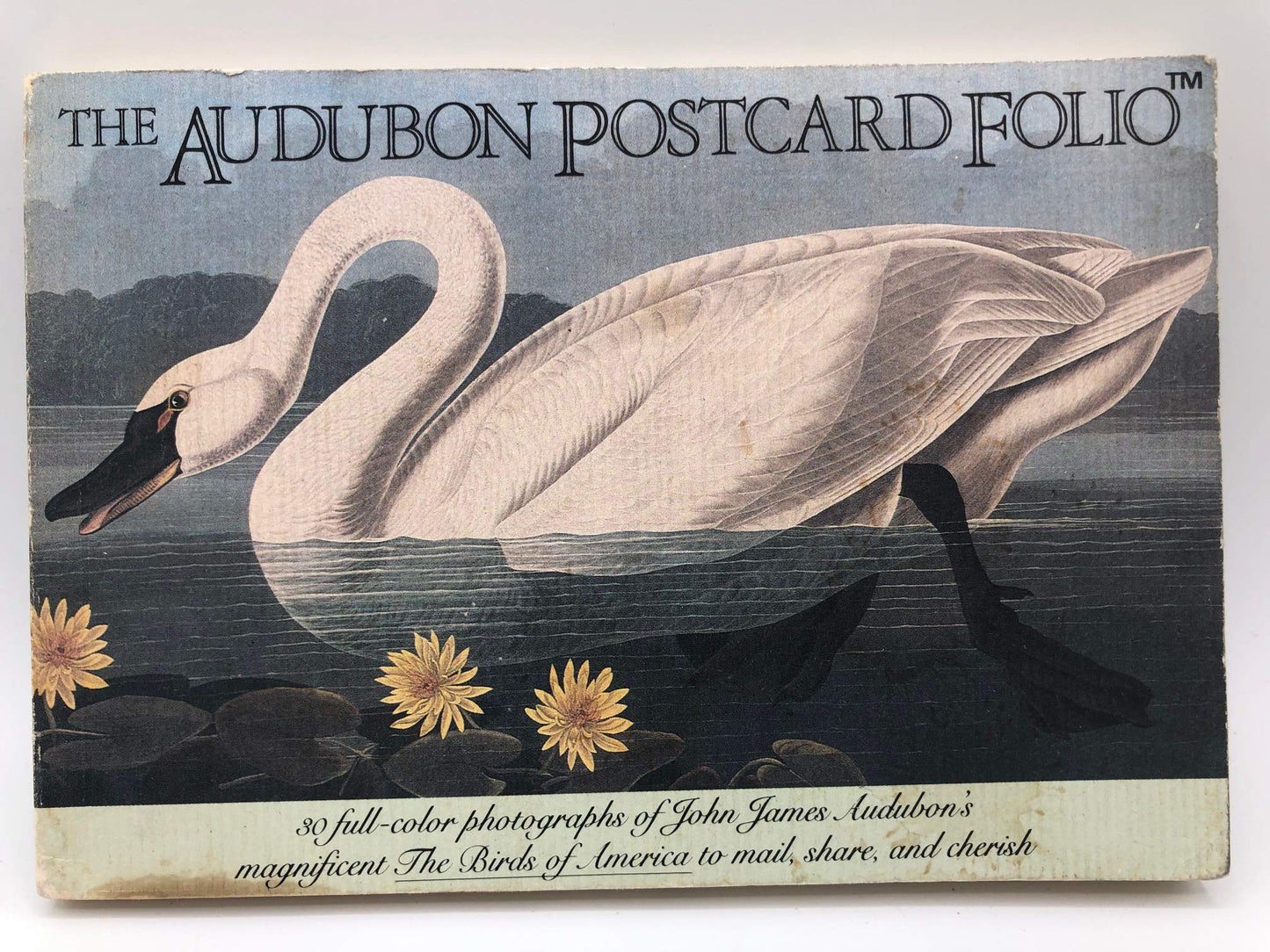 The Audubon Postcard Folio - 586