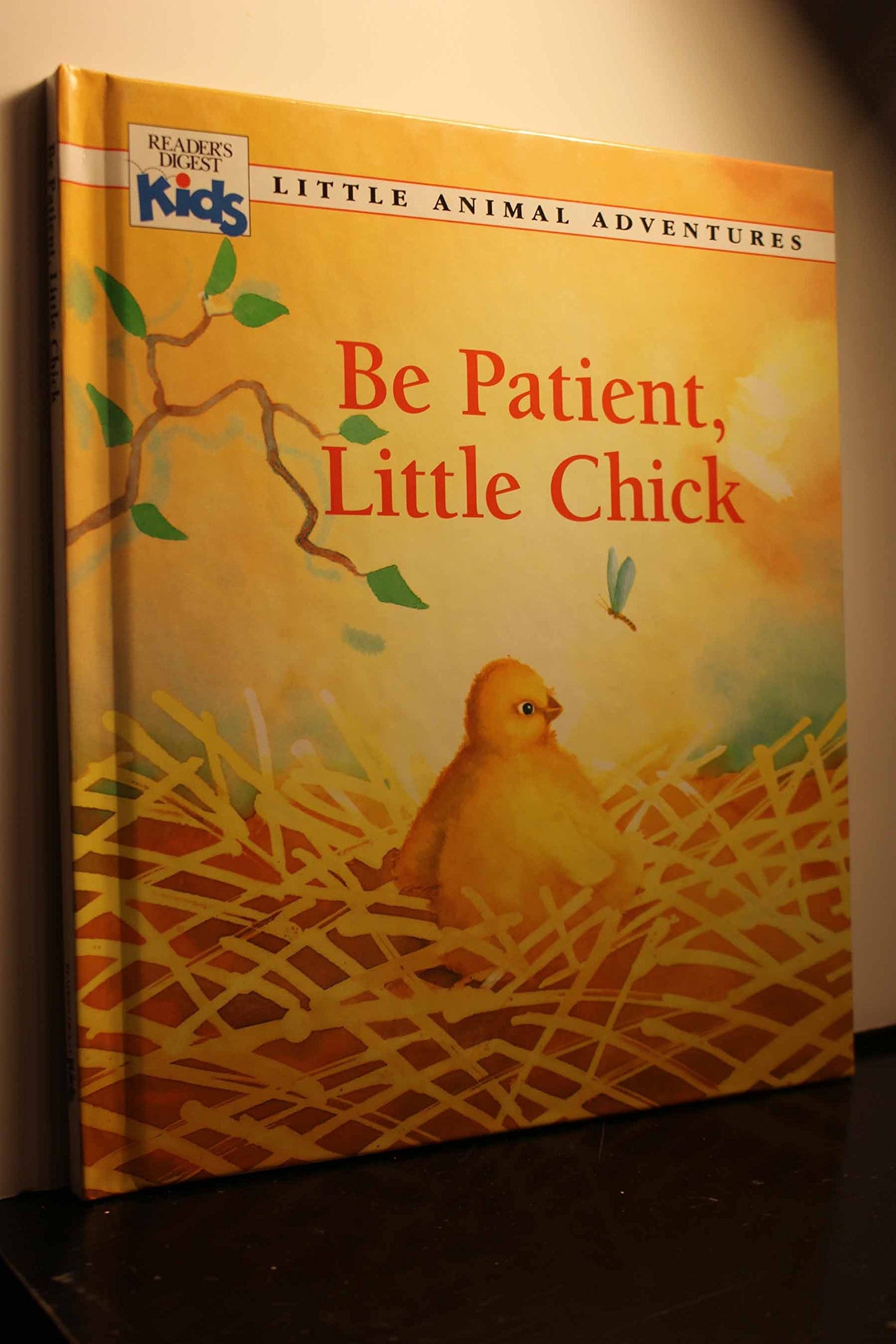 Be patient, Little Chick (Little animal adventures)