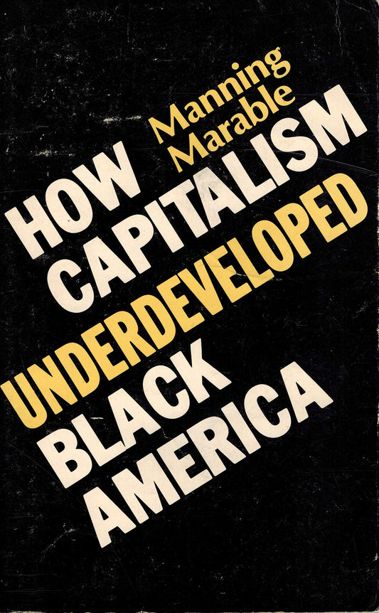 How Capitalism Underdeveloped Black America (Old E