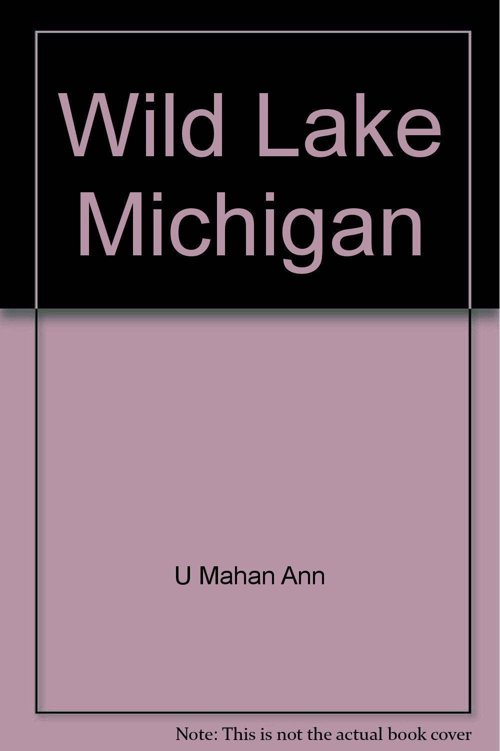 Wild Lake Michigan
