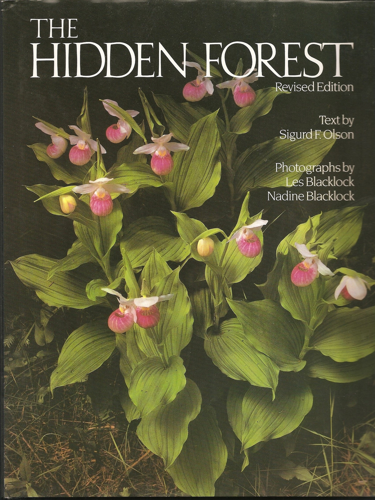 The Hidden Forest