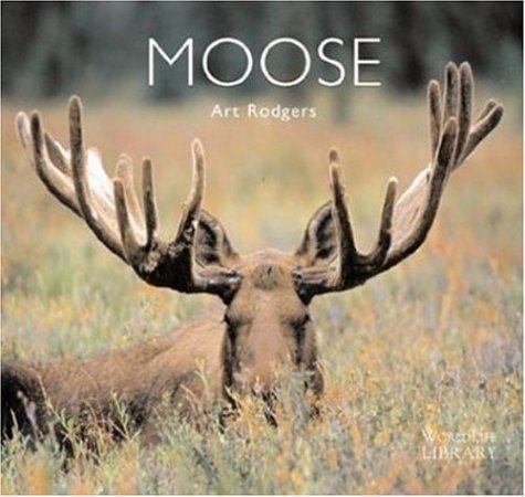 Moose (World Life Library)