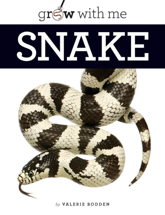 Grow With Me: Snake - 8304