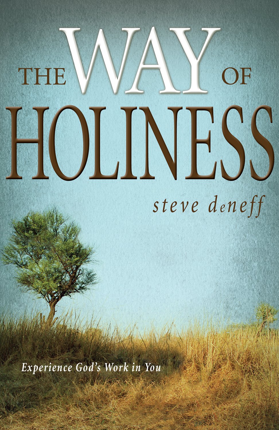 The Way of Holiness: Experience God's Work in You - 9485