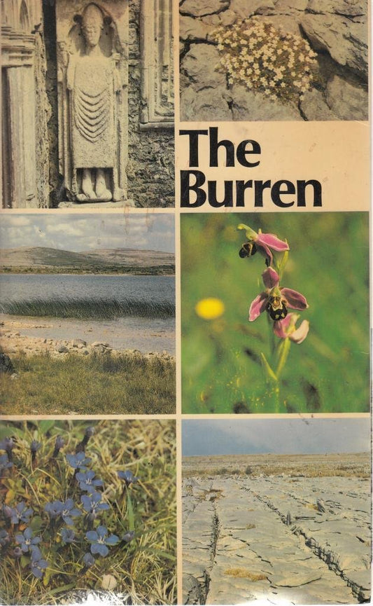 The Burren, County Clare (Irish Heritage Series: 300 - 2343
