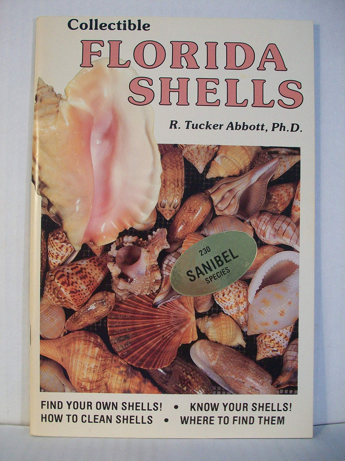 Collectible Florida Shells