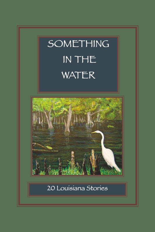 Something in the Water: 20 Louisiana Stories