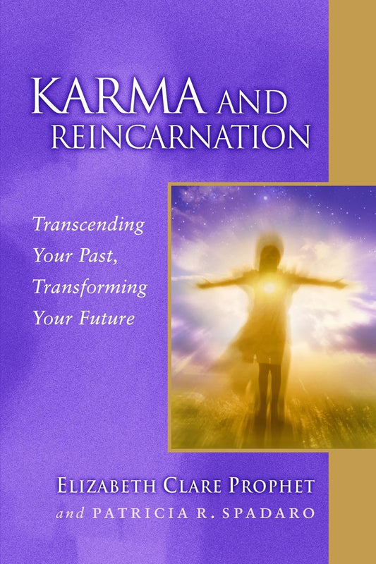 Karma and Reincarnation: Transcending Your Past, Transforming Your Future (Pocket Guides to Practical Spirituality) - 5307