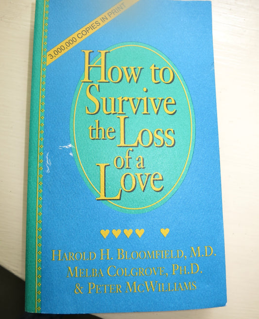 How to Survive the Loss of a Love - 944