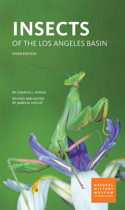 Insects of the Los Angeles Basin - 1228