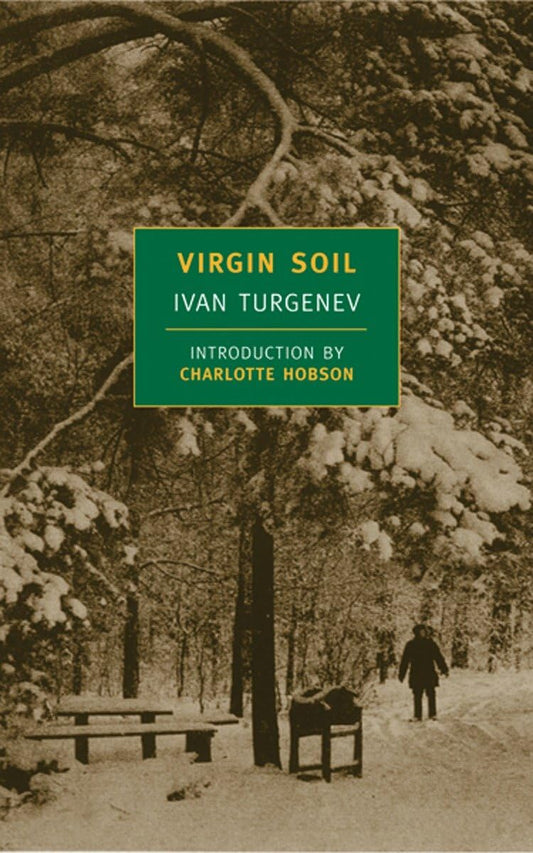 Virgin Soil (New York Review Books Classics) - 6298