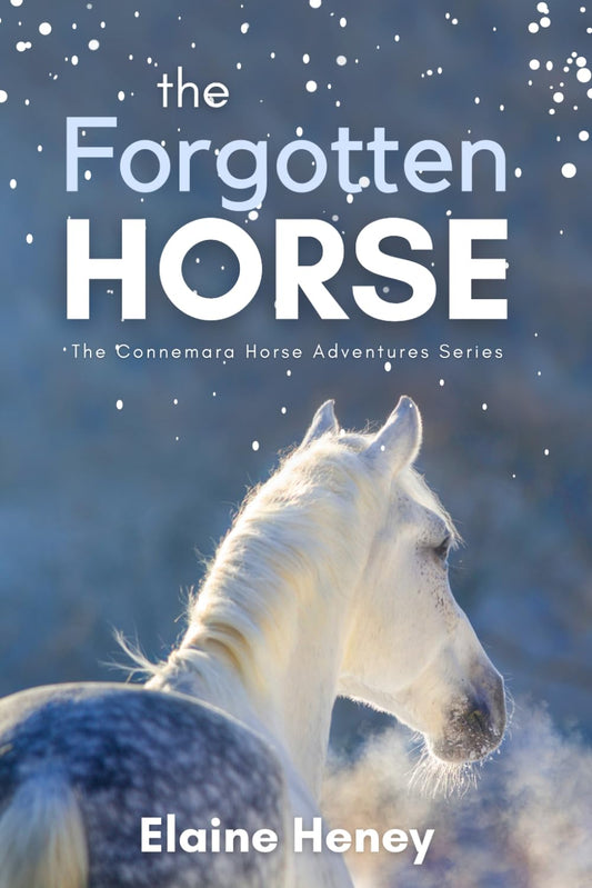 The Forgotten Horse - Book 1 in the Connemara Horse Adventure Series for Kids. The perfect gift for children age 8-12. (Connemara Adventures) - 777