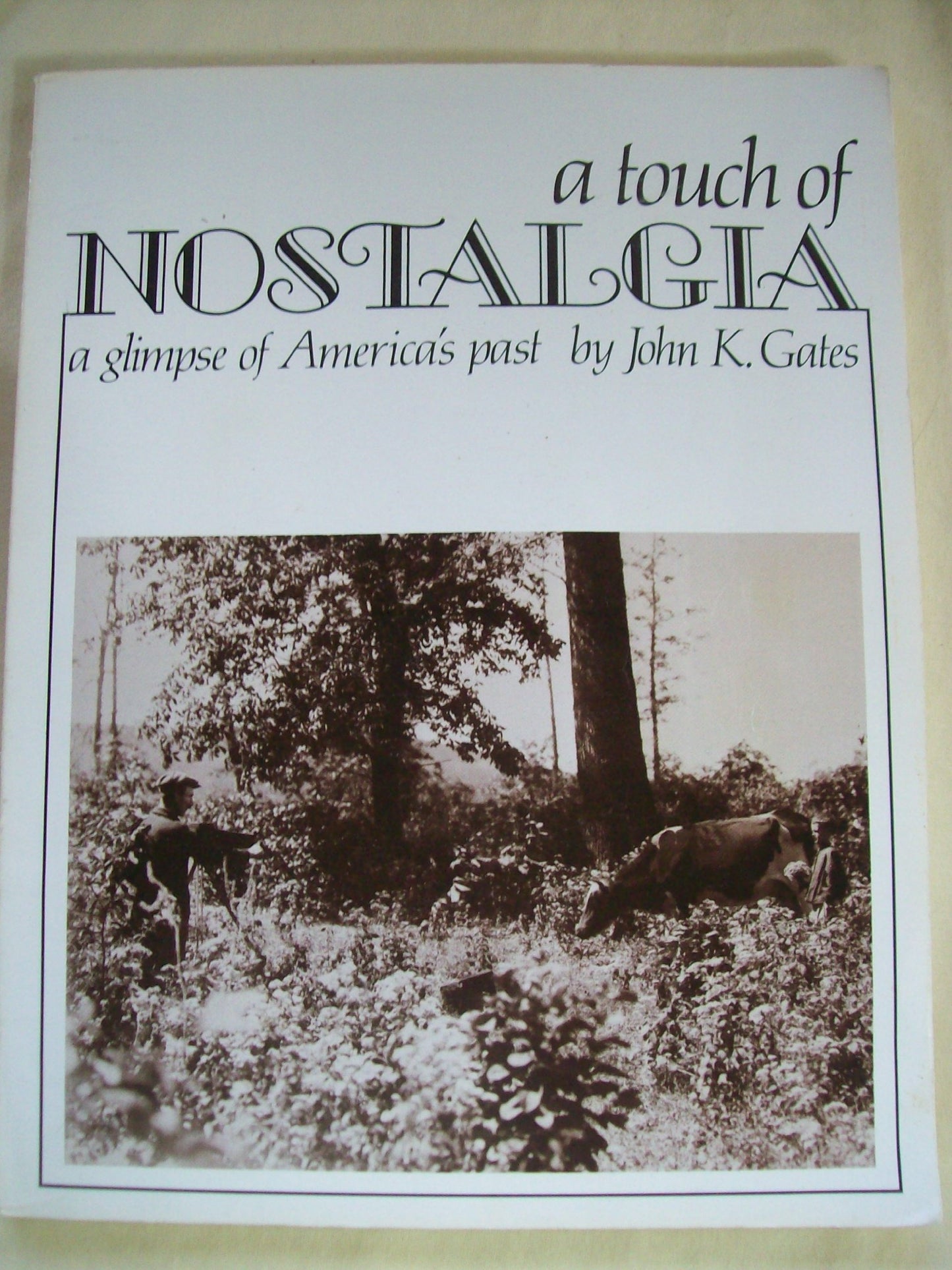 Touch of Nostalgia: A Glimpse of America's Past