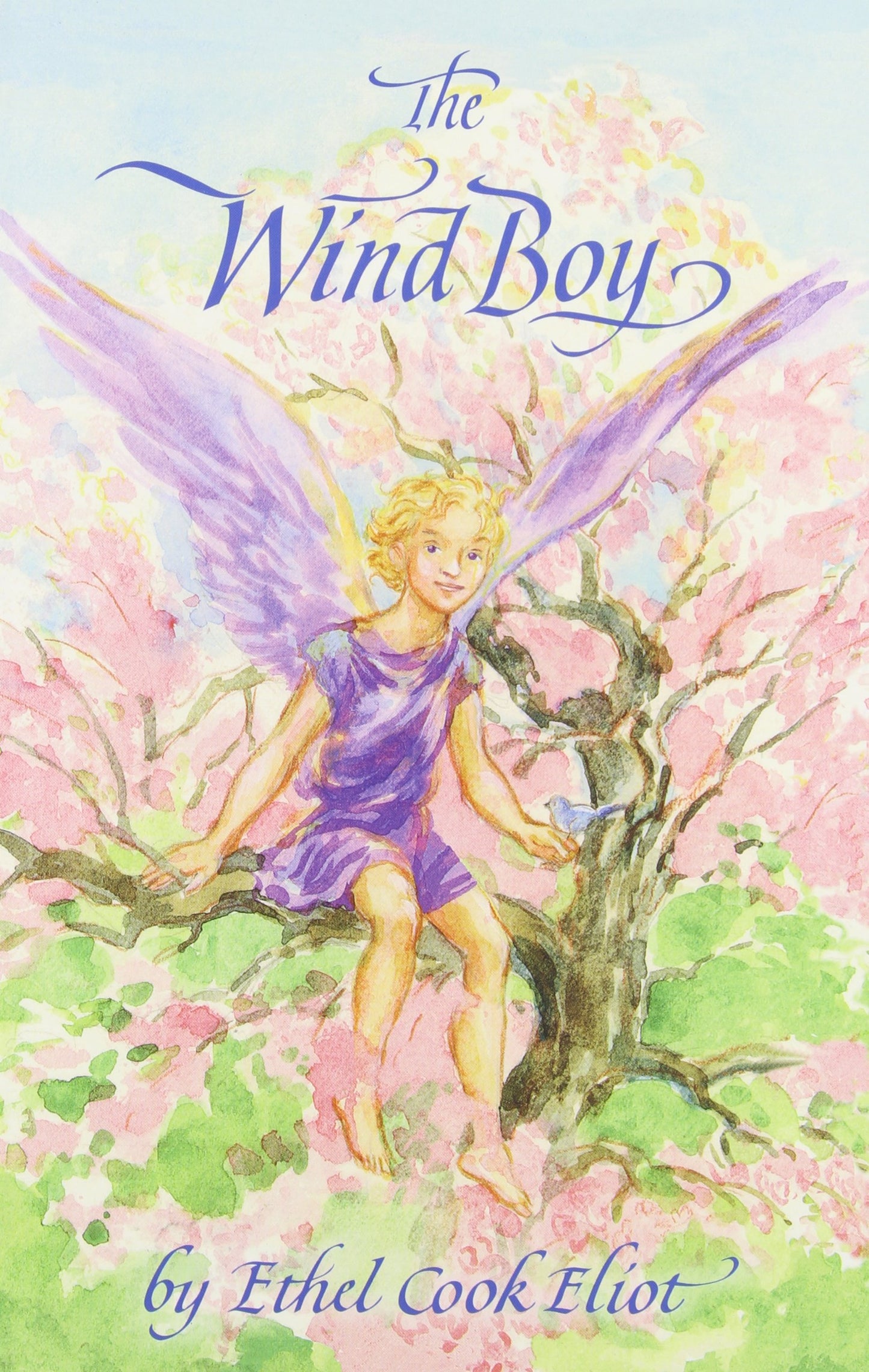 The Wind Boy - 776