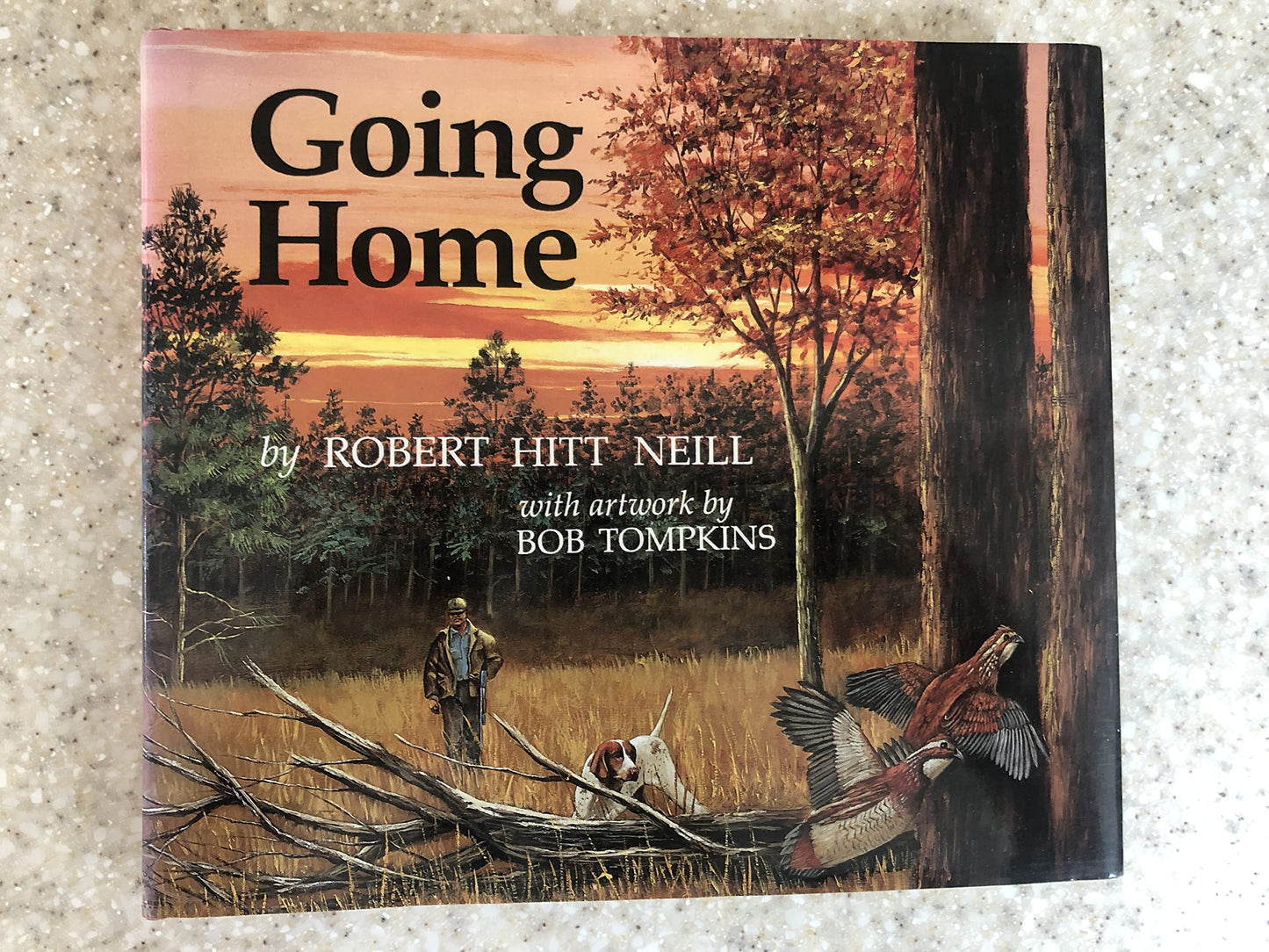 Going Home - 4410