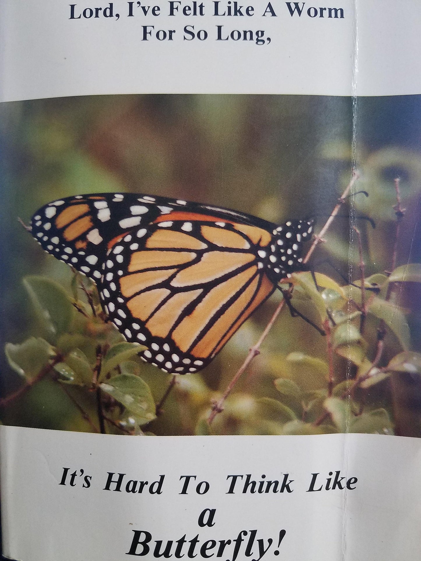 It's Hard To Think Like A Butterfly