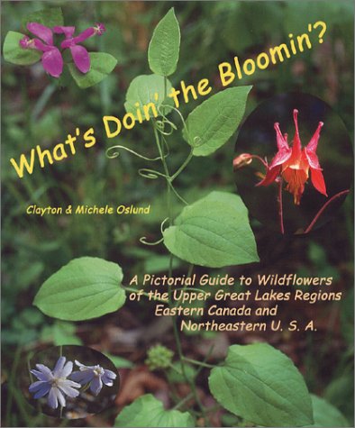 What's Doin' the Bloomin'?