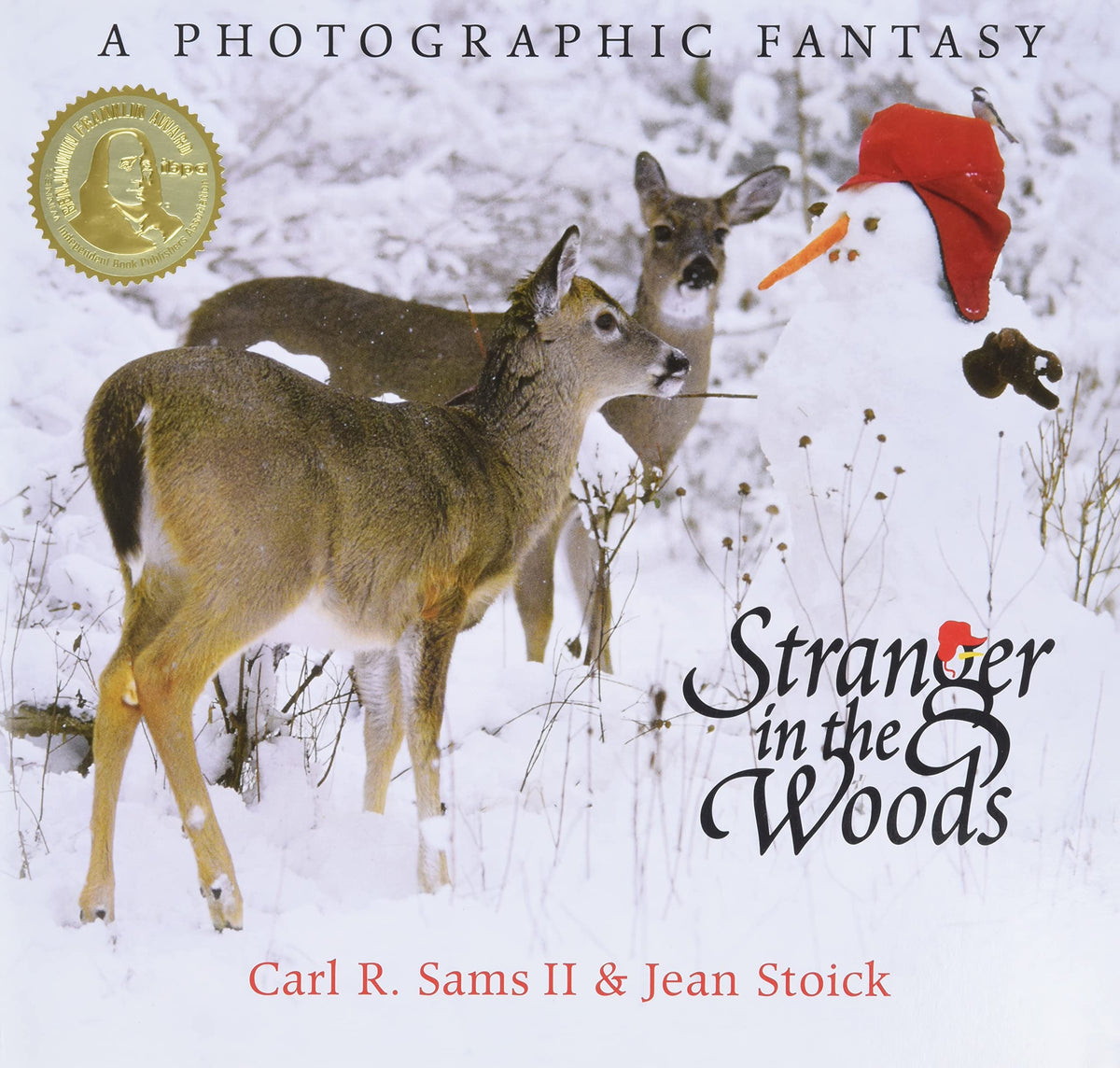 STRANGER IN THE WOODS: A PHOTOGR