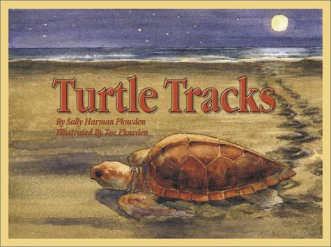 Turtle Tracks - 7111
