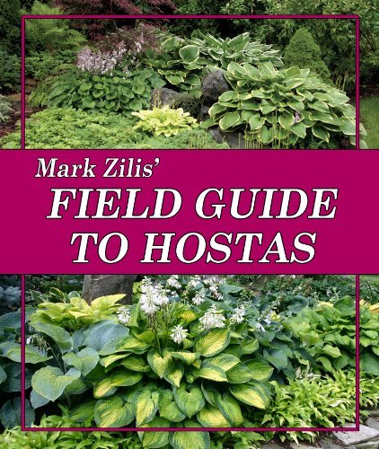 Mark Zilis' Field Guide to Hostas