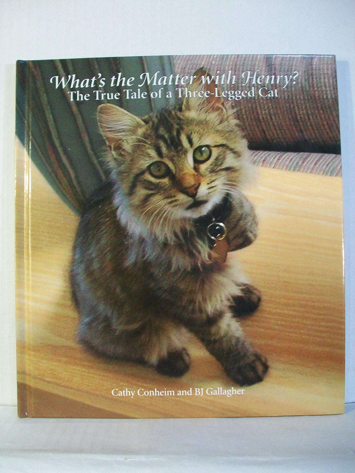 What's the Matter with Henry? The True Tale of a Three-legged Cat